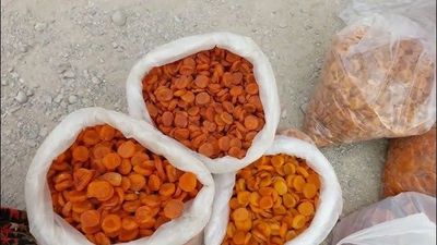 O'rik turshak sotiladi. Bargak kelishiladi