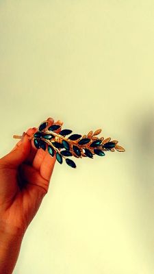 Diadema. Abodok