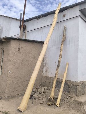 Aq terek bar satiladi