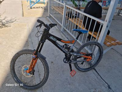 DH mongoose