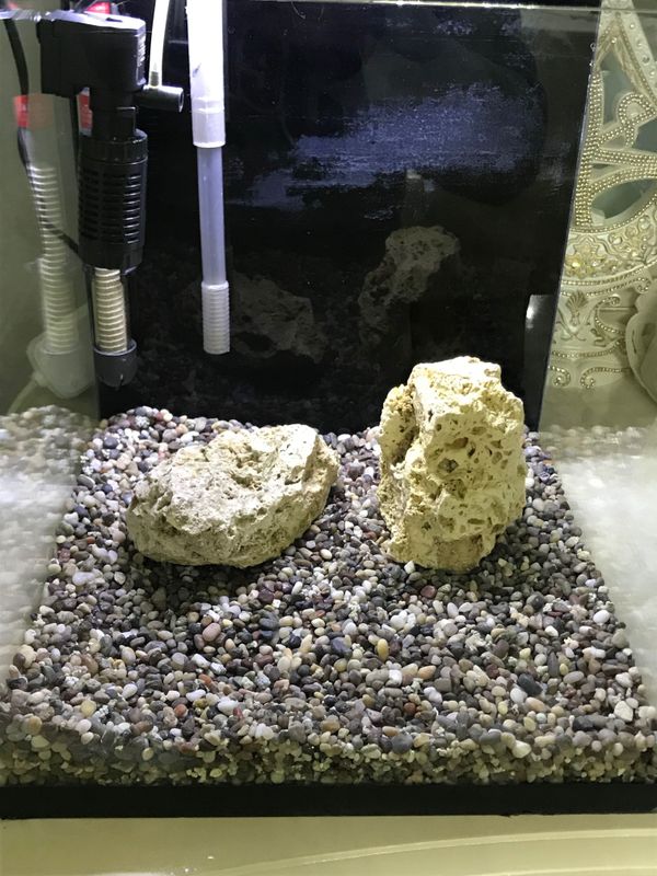 Nano akvarium 60 l Nano akvarium 60 l