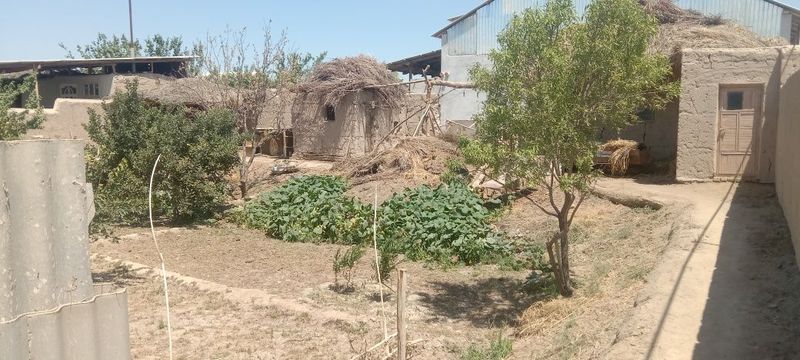 Kardiologiya markazi orqa tomoni