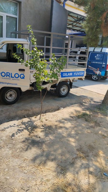 Tayyor Labo 2023.tent dakumentda