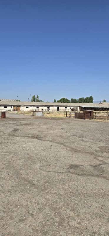 Кибрай 4.гек,биноси билан Кибрай 4.гек,биноси билан