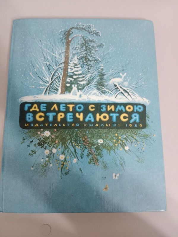 Книга где лето с зимою встречаются в идеальном состоянии Книга где лето с зимою встречаются в идеальном состоянии