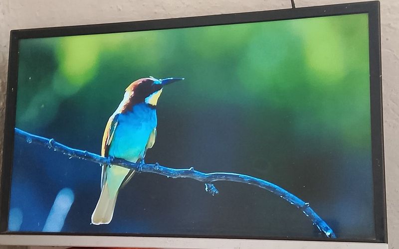 Artel smart tv 28 Artel smart tv 28