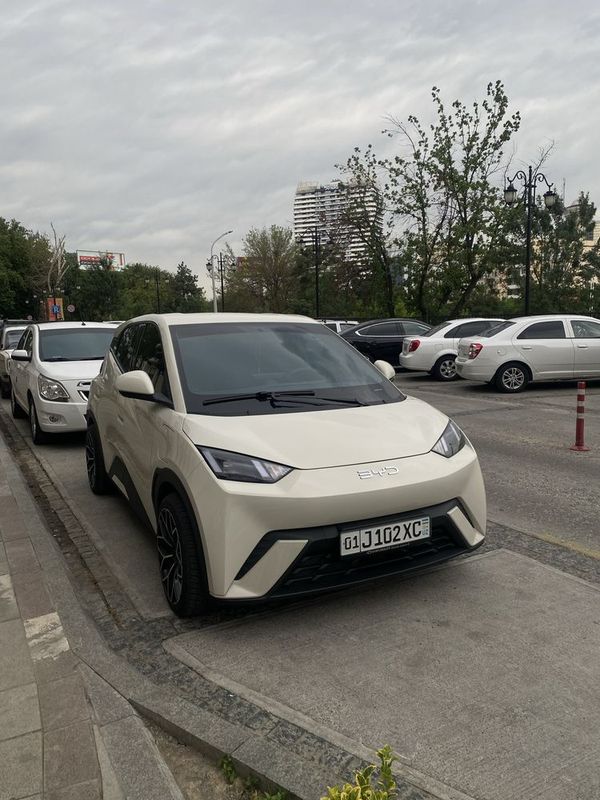 Byd Seagull 405km 2024 Byd Seagull 405km 2024