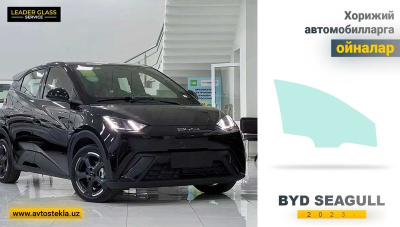 BYD Seagull 2023- XYG