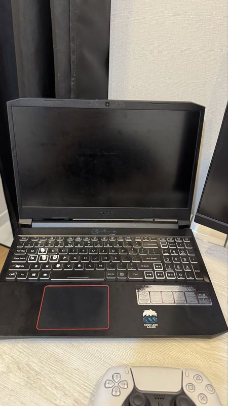 Acer Nitro 5 AN515-55