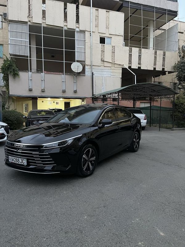 Byd Chazor Dmi 2 poziciya dop option