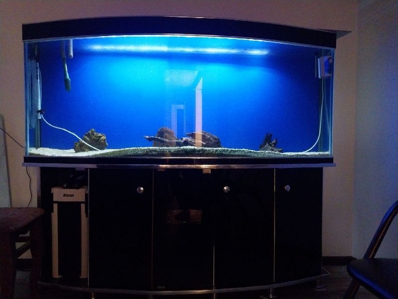 Akvariyum 500 litrtli