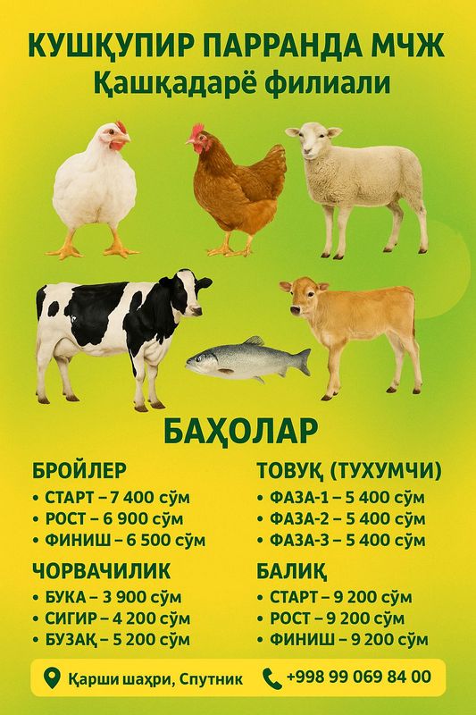 Омухта ем (гранула) махсулотлари. З Омухта ем (гранула) махсулотлари. З