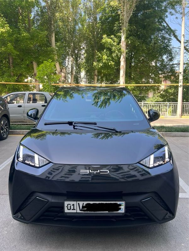 BYD Seagull 14500$ BYD Seagull 14500$
