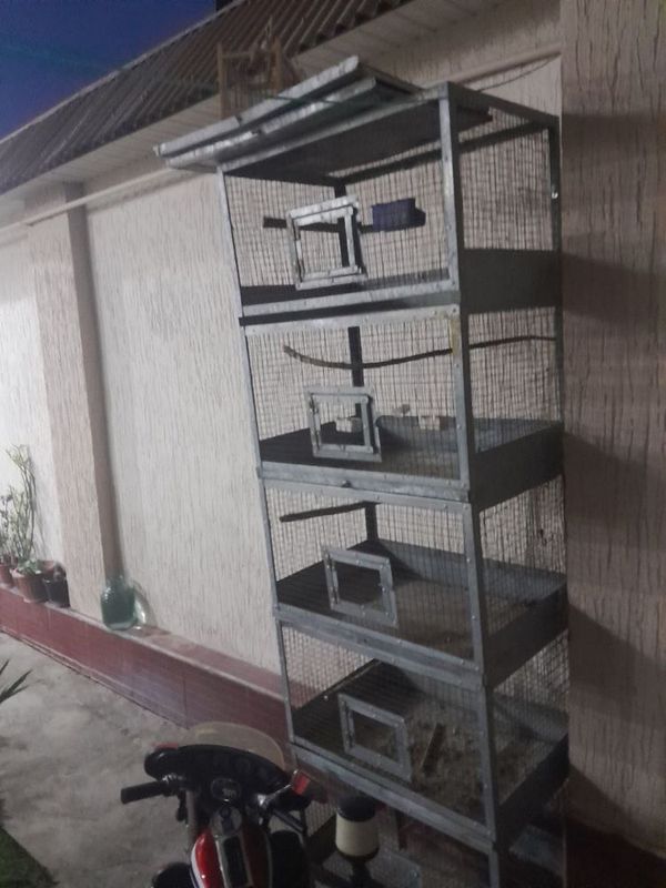 etojerka qafas qushlar uchun etojerka qafas qushlar uchun