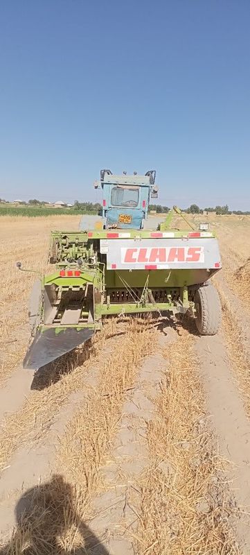Piris padbor markand 55 Piris padbor markand 55