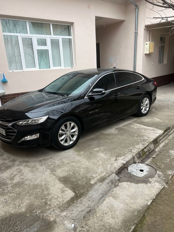 Malibu Premier toza Malibu Premier toza
