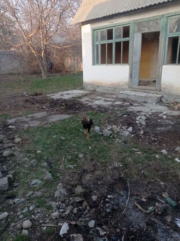 Dacha uchun yer sotiladi