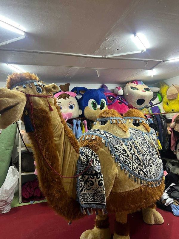 Суннат той га туя Суннат той га туя