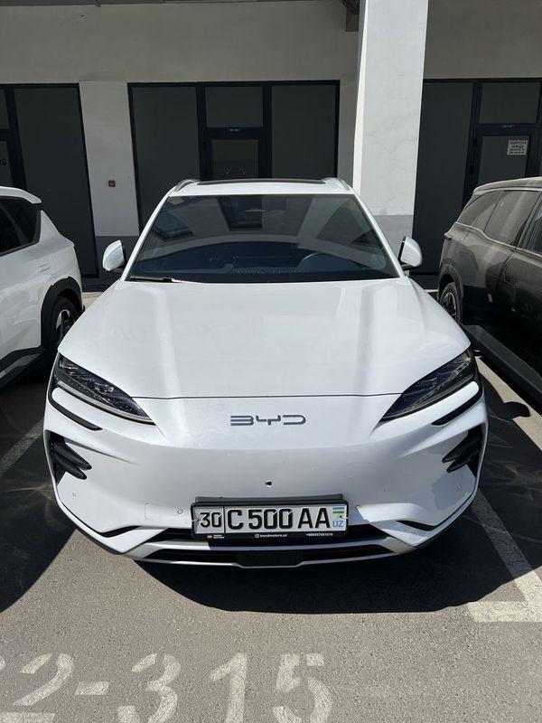 Byd Chempion tayyor 2024