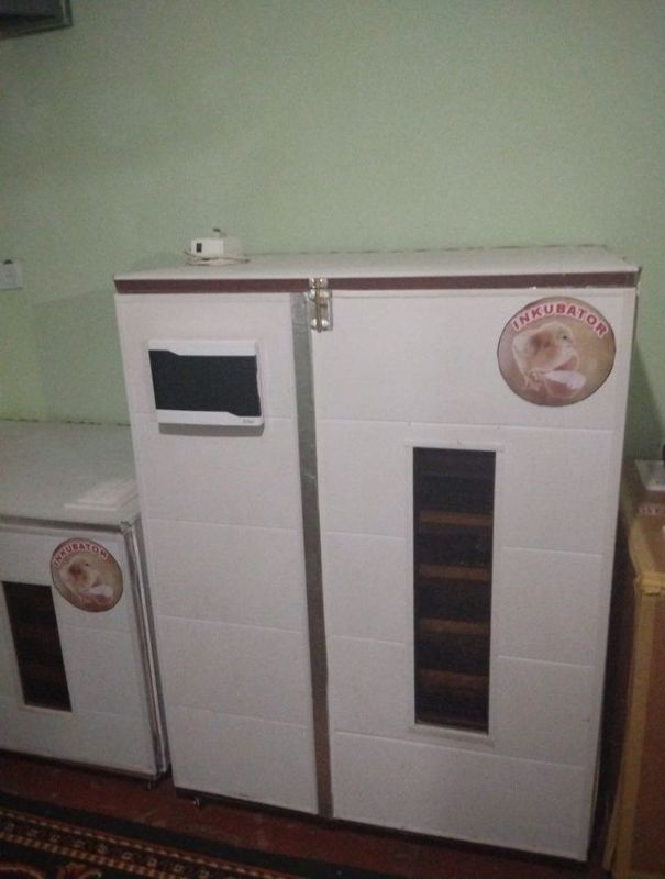 Enkubator xizmati Enkubator xizmati