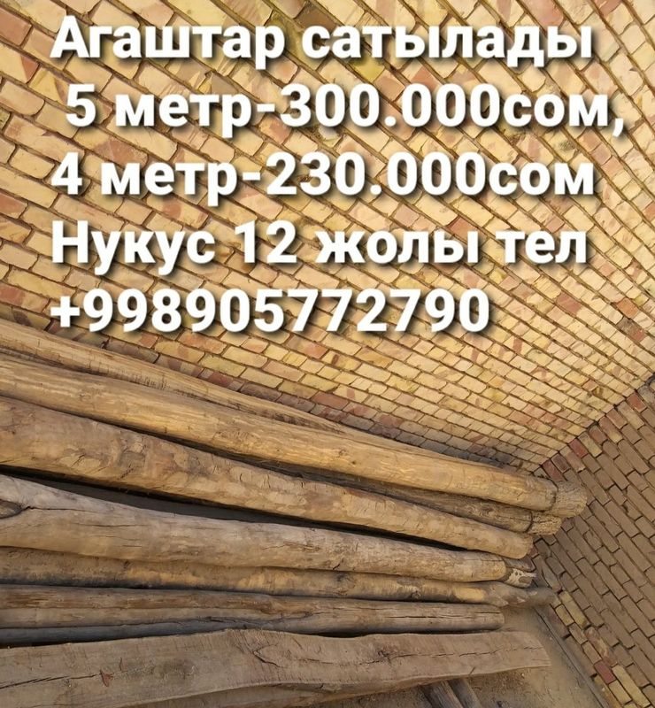 Кругляк агаш новый Кругляк агаш новый