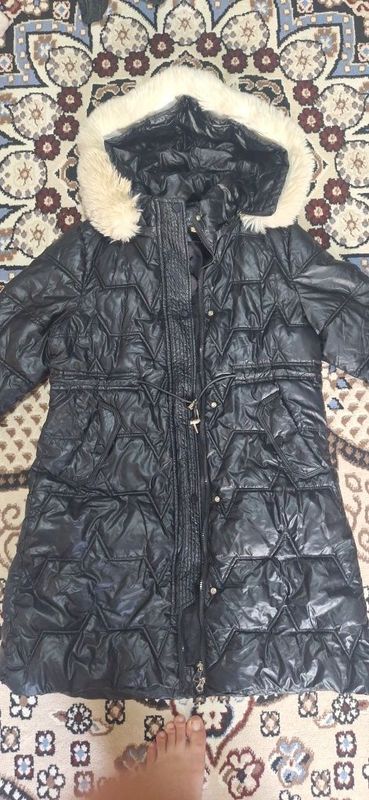 Kurtga qishgi holati yaxshi