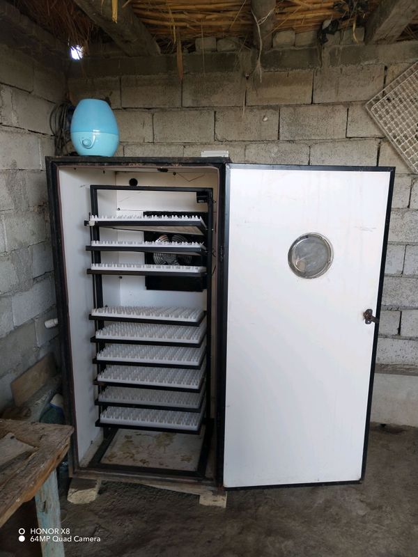 Inkubator 1000 talik Inkubator 1000 talik