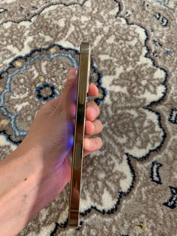 Iphone 13 pro max sotladi