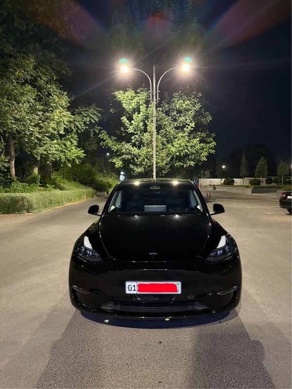 Tesla model Y Duall Motor Long reng Tesla model Y Duall Motor Long reng