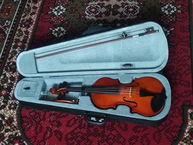 Скрипка 4/4 полный комплект Скрипка 4/4 полный комплект