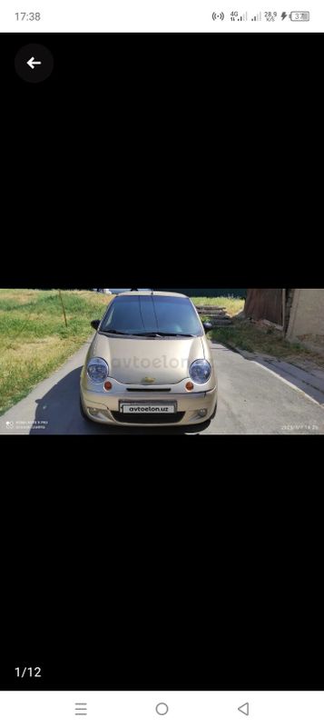 Matiz shumka qilingan hadavoyi zoʻr
