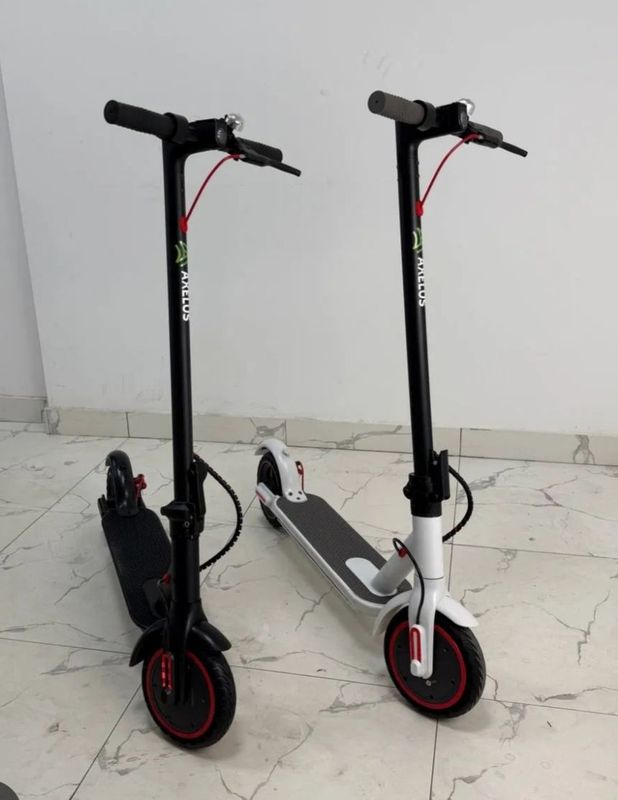 Elektronika Elektronika