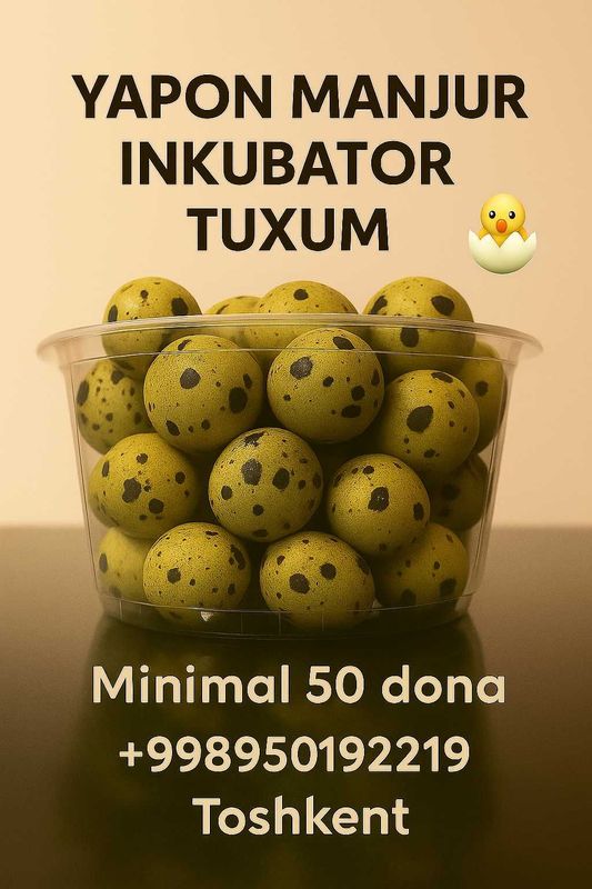 Bedana Tuxum | Перепелиное Яйцо Bedana Tuxum | Перепелиное Яйцо