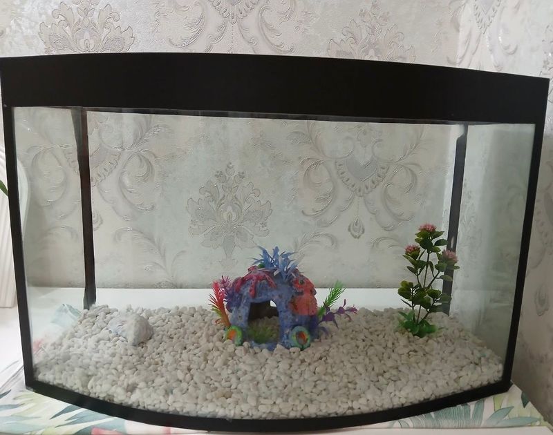 Продаю аквариум