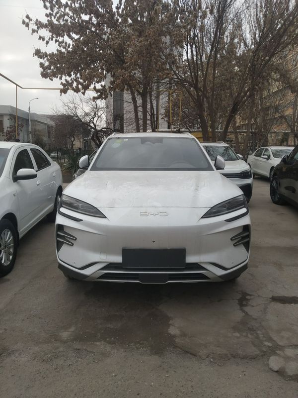 BYD PLUS Champion 2024 yil Narxi 28.000$ y.e Yun.T