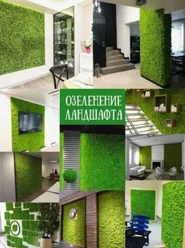 Искусственные Трава на Стену для Декора Газон на 60х40см