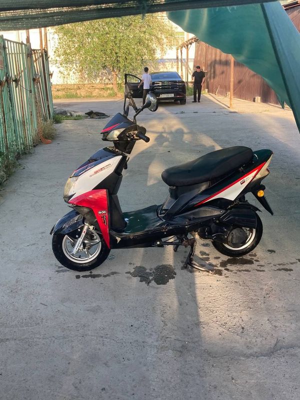 Moped yurib turbidity aybi yoq udar yemagan kelishiladi Moped yurib turbidity aybi yoq udar yemagan kelishiladi