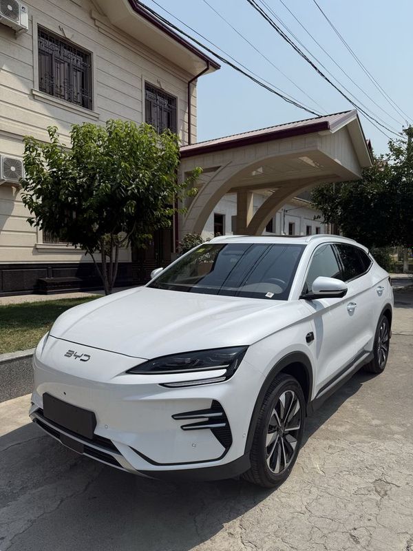 Byd Champion Smart Byd Champion Smart