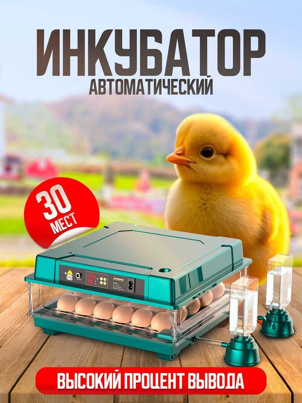 Инкубатор для яиц, 30/63/130 мест. Inkubator tuhum uchun Инкубатор для яиц, 30/63/130 мест. Inkubator tuhum uchun