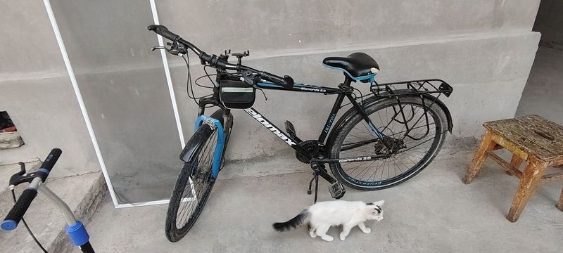 28 veli chotki yurishlari 28 veli chotki yurishlari