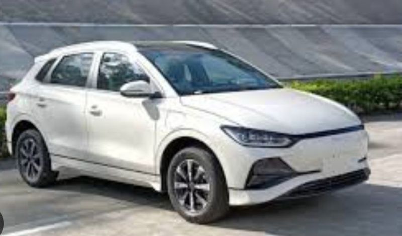 BYD e2 Pervichkaga