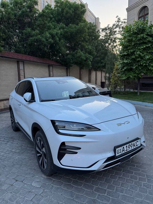 Byd son plus chempion Byd son plus chempion