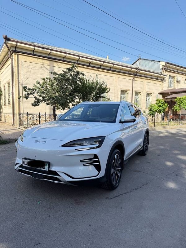 BYD Chempion 2024 BYD Chempion 2024