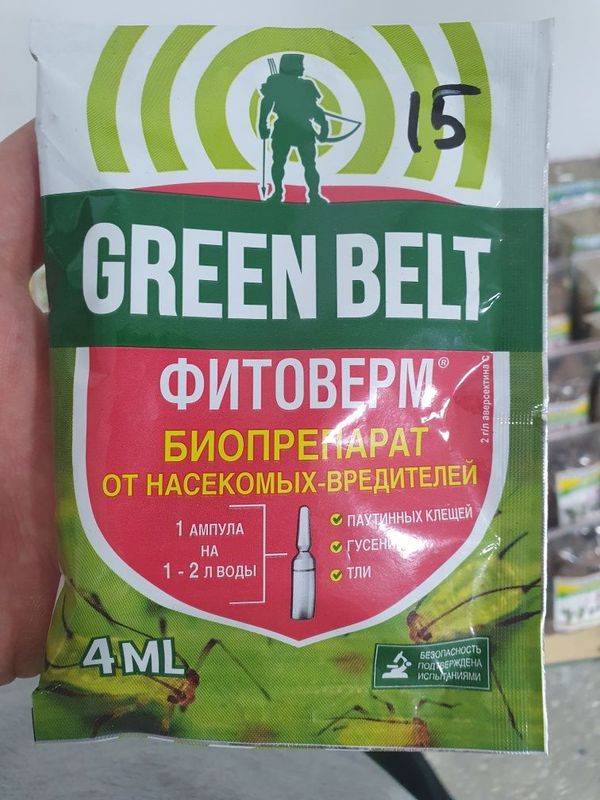 Green belt грин белт