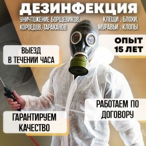 Дезинсекция для элитных домов топ качества dezinfeksiya dizinfeksiya