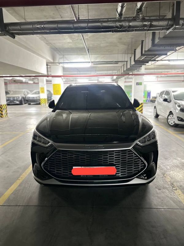 Byd song pulus 2023 Byd song pulus 2023