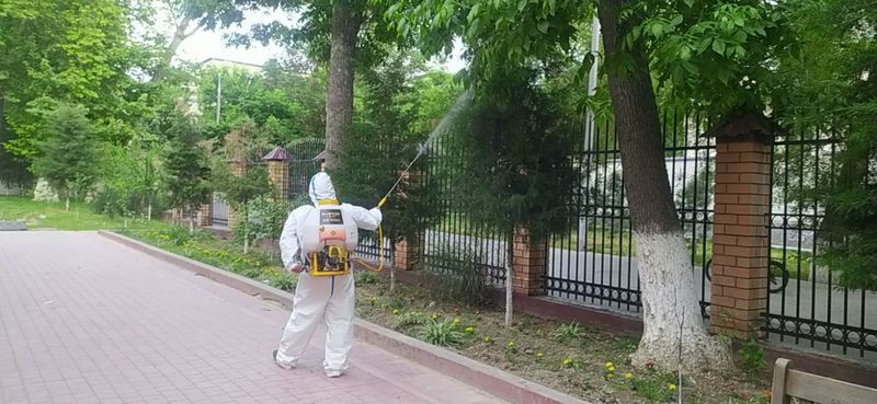 Manzarali daraxtlarga ishlov berish (kimyoviy kurash,mexanik,agrotexnk