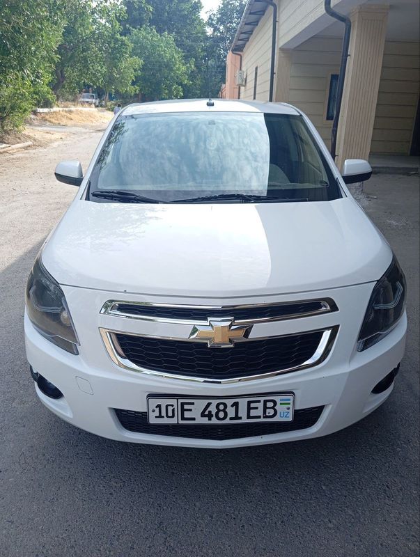 Kobilt xolati zur