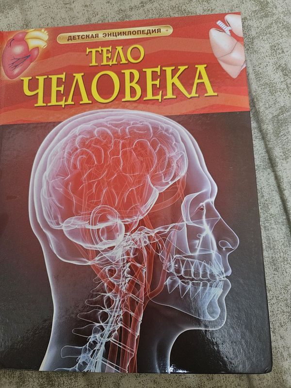 Детская энциклопедия (тело человека) Детская энциклопедия (тело человека)