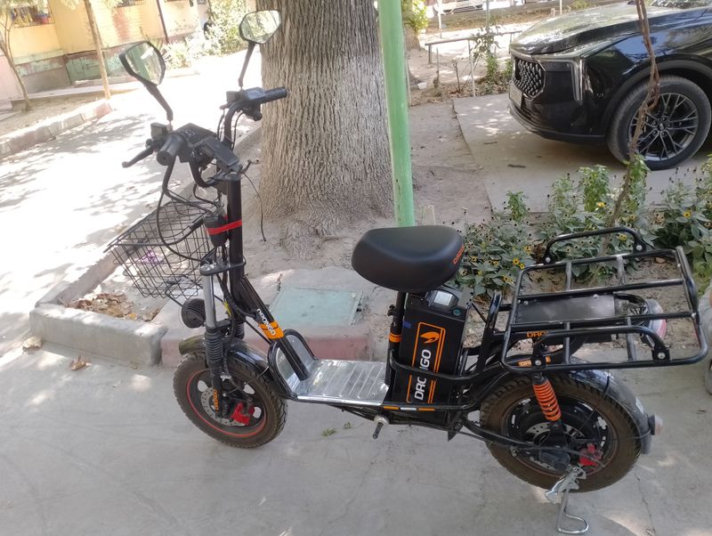 Monstr drongo Monstr drongo